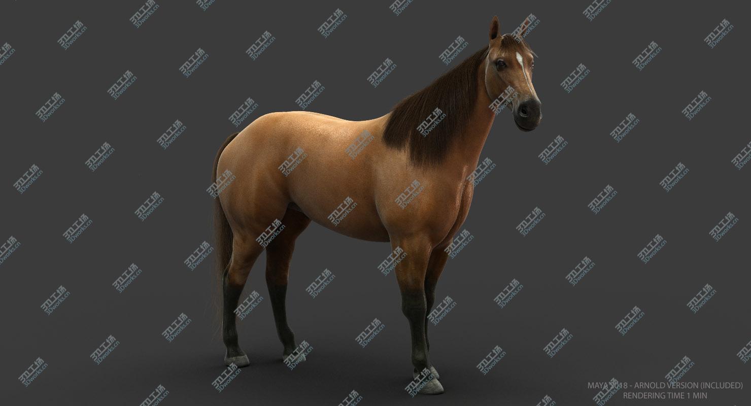 images/goods_img/2021040234/Horse (ANIMATED)/4.jpg